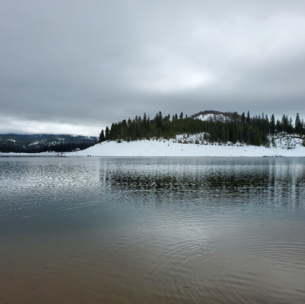 Meet your Posher, Carrie